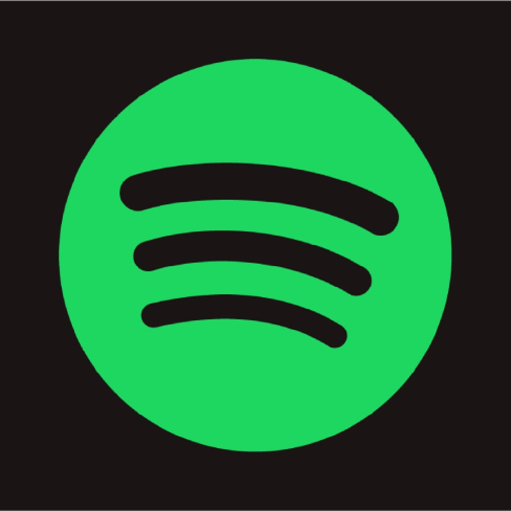 Spotify ( one year )